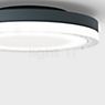 IP44.DE Lisc Applique/Plafonnier LED anthracite