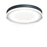 IP44.DE Lisc Applique/Plafonnier LED anthracite