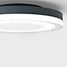 IP44.de Lisc Wand-/Plafondlamp LED antraciet