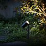 IP44.de Piek Mini Luce solare con picchetto da interrare per giardino antracite - immagine di applicazione
