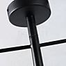 It's about RoMi Izmir Ceiling Light black