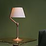 Kartell Angelo Stone Table Lamp LED copper application picture