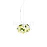 Kartell Bloom Small Suspension menthe