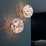 Kartell Bloom wall/ceiling light clear, ø53 cm application picture
