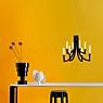 Kartell Tea Lampe de table anthracite - produit en situation