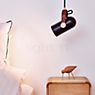 Le Klint Carronade Small, lámpara de suspensión arena - ejemplo de uso previsto