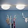 Le Klint Swirl, lámpara de techo y pared blanco - ø37 cm - ejemplo de uso previsto