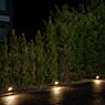 Ledvance Endura Garden Flood Jordspids Spotlights LED large ansøgning billede