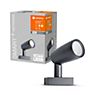 Ledvance Endura Pro Ground Spike Spotlights LED Smart+ grey , Warehouse sale, as new, original packaging