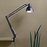 Light Point Archi Table Lamp blue - ø16 cm - with clamp application picture