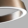 Light Point Edge Round Lampada a sospensione LED oro rosa - 50 cm