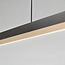 Light Point Inlay Linear Lampada a sospensione LED nero/dorato - 190 cm