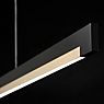 Light Point Inlay Linear Pendant Light LED black/gold - 190 cm