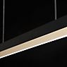 Light Point Inlay Linear Pendel LED sort/guld - 190 cm