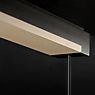 Light Point Inlay Linear Suspension LED noir/doré - 190 cm