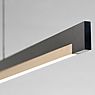 Light Point Inlay Linear, lámpara de suspensión LED negro/dorado - 190 cm