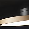 Light Point Inlay Round Ceiling Light LED black/gold - 44 cm
