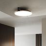 Light Point Inlay Round Lampada da soffitto LED nero/dorato - 34,2 cm - immagine di applicazione