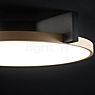 Light Point Inlay Round Lampada da soffitto LED nero/dorato - 44 cm