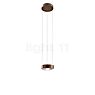 Light Point Orbit Pendant Light LED rose gold