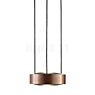 Light Point Orbit Suspension LED or rose