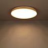 Luceplan Compendium Plate Parete/Soffitto LED ottone