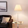 Luceplan Costanza Table Lamp shade fog white/frame brass - telescope - with dimmer application picture