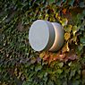 Luceplan Nui Wall Light LED D application picture