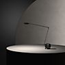 Lumina Daphine Tavolo LED soft-touch schwarz - 2.700 K