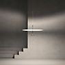 Lumina Dot Pendant Light LED ø60 cm - black application picture