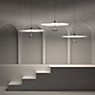 Lumina Dot Pendant Light LED ø60 cm - black application picture