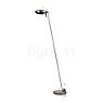 Lumina Elle 1 Floor Lamp nickel brushed