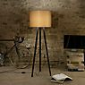 Maigrau Luca Stand Floor Lamp oak natural colour/shade white - 163,5 cm application picture