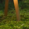 Maigrau Luca Stand Little Lampe de table chêne, fumé, huilé, abat-jour blanc