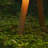 Maigrau Luca Stand Little Tafellamp eikenhout, gerookt, geolied, lampenkap brons grijs