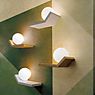 Marchetti Scivolo AP SX Wall Light, sphere left gold brushed application picture