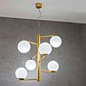 Marchetti Tin Tin S6 Hanglamp goud