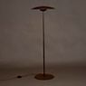 Marset Ginger Floor lamp LED in the 3D viewing mode for a closer look