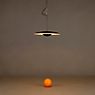 Marset Ginger Hanglamp LED eikenhout/wit - ø60 cm