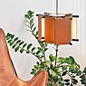 Marset MVV, lámpara de suspensión madera de cerezo - ejemplo de uso previsto
