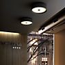 Marset Soho Lampada da soffitto LED grigio - ø38 cm - immagine di applicazione