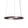 Mawa Berliner Ring Pendant Light LED Inlight ring bronze/ceiling rose bronze - ø100 cm/30 cm - inlight - Casambi - 68,5 W