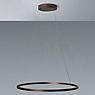 Mawa Berliner Ring Suspension LED Downlight anneau bronze/cache-piton blanc mat - ø120 cm/30 cm - downlight - Casambi - 81 W