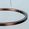 Mawa Berliner Ring, lámpara de suspensión LED Downlight anillo bronce/florón blanco mate - ø120 cm/30 cm - downlight - Casambi - 81 W