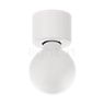 Mawa Eintopf Plafonnier/Applique métal - blanc - À l'aide de son design minimaliste, l'applique/plafonnier Eintopf rehausse l'ampoule au niveau de jalon conceptuel.