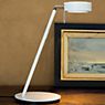 Mawa Pure Lampe de table LED sable argenté - 35,5 cm - produit en situation