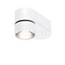 Mawa Wittenberg 4.0 Ceiling Light LED oval white matt - ra 95