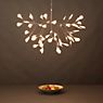 Moooi Heracleum Hanglamp LED wit - small
