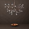 Moooi Heracleum Lampada a sospensione LED nichel - small