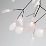 Moooi Heracleum Lampada a sospensione LED nichel - small